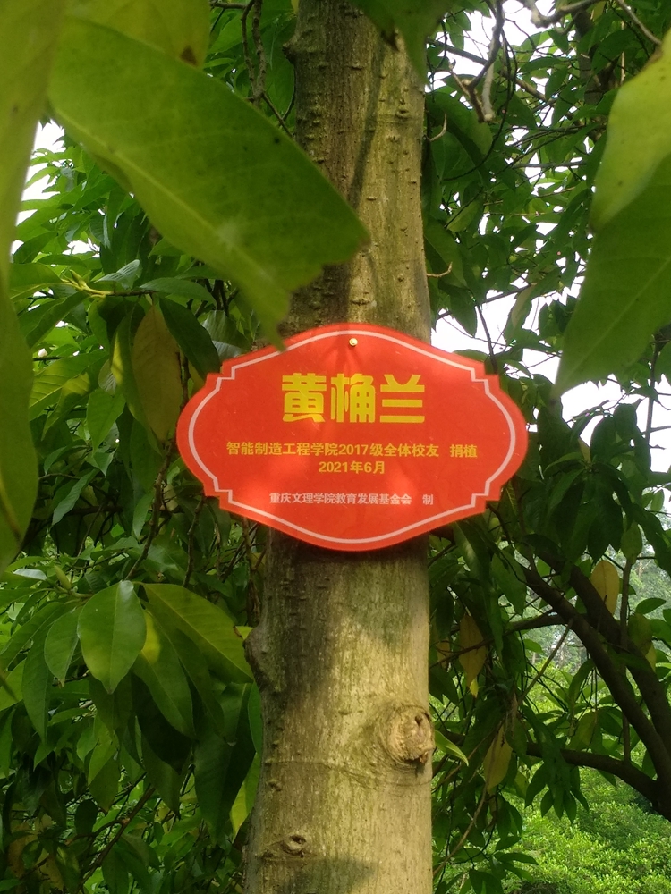 1624199440544001667.jpg 员工树.jpg