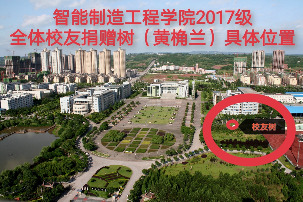 1624199543211021868.jpg 员工树-照片.jpg